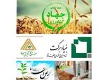 پرداخت 1300 میلیارد تسهیلات کشاورزی در بابل