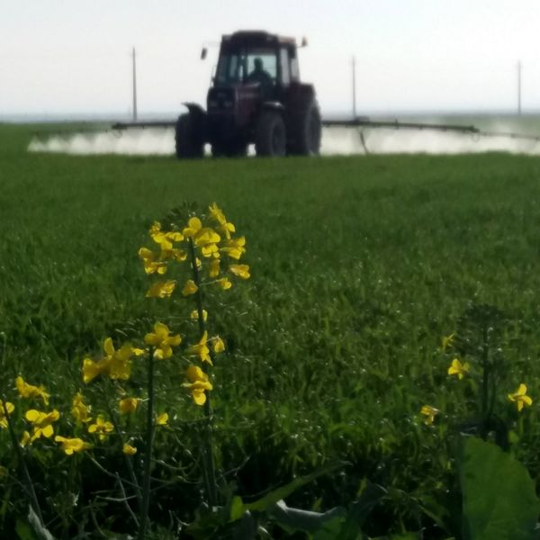 مبارزه با علفهای هرز بصورت مکانیکی