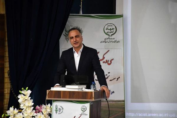 برداشت ۸ میلیون تن محصول از ۶ میلیون هکتار اراضی دیم کشور در سال گذشته