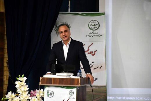 برداشت ۸ میلیون تن محصول از ۶ میلیون هکتار اراضی دیم کشور در سال گذشته