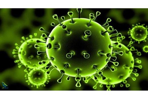 خسارت 57 میلیاردی کرونا به کشاورزان بهشهری/ 6 میلیارد تسهیلات پرداخت شد