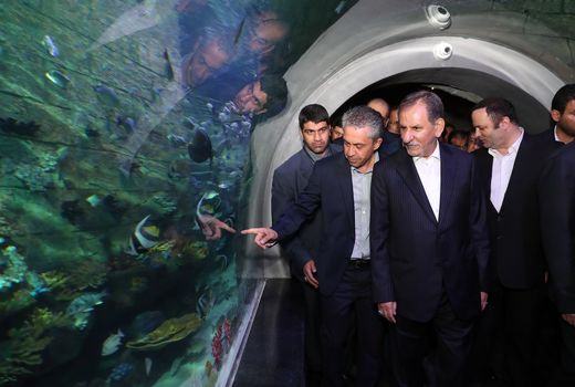 بزرگترین آکواریوم و باغ خزندگان ایران افتتاح شد