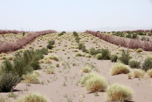 شناسایی بیش از ۱۴ میلیون هکتارکانون بحرانی بیابان درکشور
