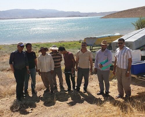 رشد ۱۵ درصدی تولید ماهیان گرمابی در قیروکارزین