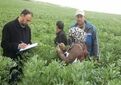 یکسان‌سازی فرایندهای برون‌سپاری خدمات کشاورزی در دستور کار وزارت جهاد کشاورزی
