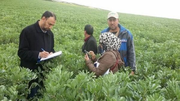 یکسان‌سازی فرایندهای برون‌سپاری خدمات کشاورزی در دستور کار وزارت جهاد کشاورزی
