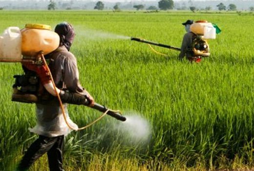 نظارت و رصد دقیق بازار سموم کشاورزی