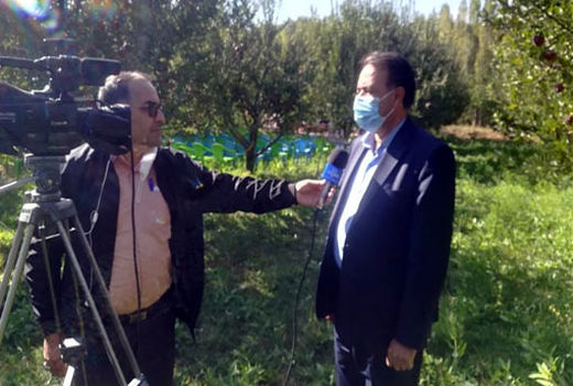  برداشت 55 هزار تن سیب  در شهرستان هشترود