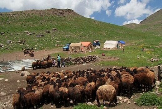 کاهش بارندگی‌ها هزینه تولید عشایر خراسان شمالی را افزایش داد
