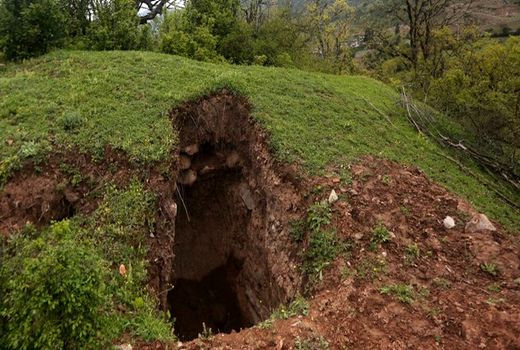 دستگیری حفاران غیرمجاز در جنگل های بهشهر 