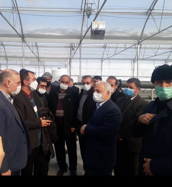 پیشبینی تولید 350 تن صیفیجات در گلخانه هیدروپونیک شهرستان ارومیه