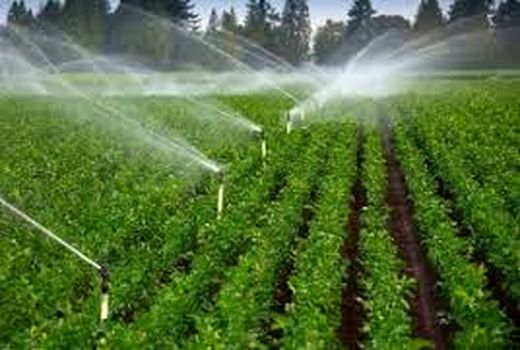 اختصاص ۵۲۲ میلیارد ریال اعتبار برای تجهیز مزارع به سیستم های نوین آبیاری 