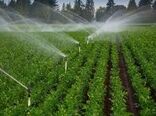 اختصاص ۵۲۲ میلیارد ریال اعتبار برای تجهیز مزارع به سیستم های نوین آبیاری 
