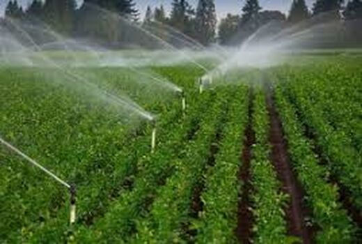 اختصاص ۵۲۲ میلیارد ریال اعتبار برای تجهیز مزارع به سیستم های نوین آبیاری 