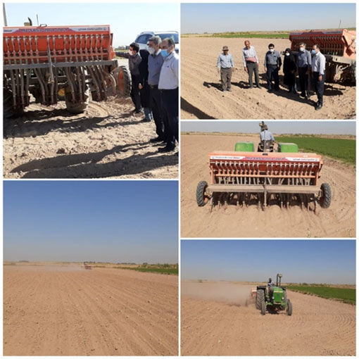 کاشت مزارع کلزا با دستگاه مکانیزه برای اولین بار در ایلخچی