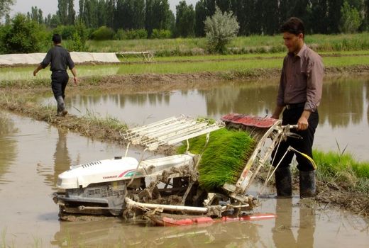 بسیج برای توسعه کشاورزی روستاها برنامه دارد