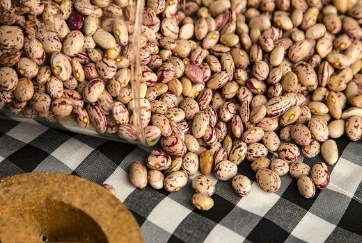صادرات مستقیم لوبیای استان فارس به سه کشور
