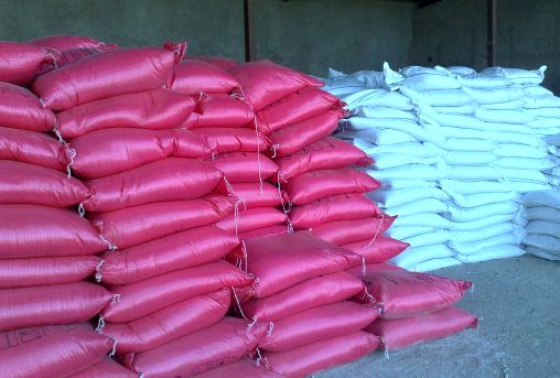  توزیع کود شیمیایی در شهرستان املش 
