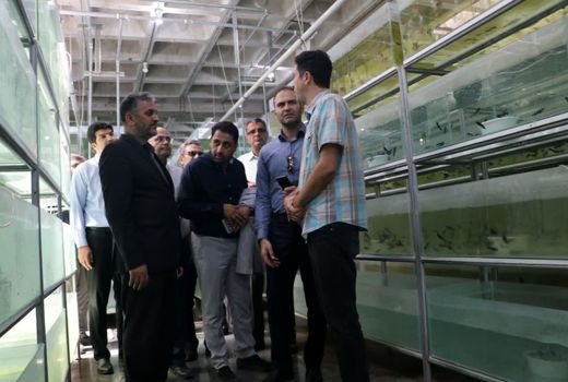 بازدید مشاور وزیر جهاد کشاورزی از زنجیره تولید صنعت آکواریوم و ماهیان زینتی در قزوین