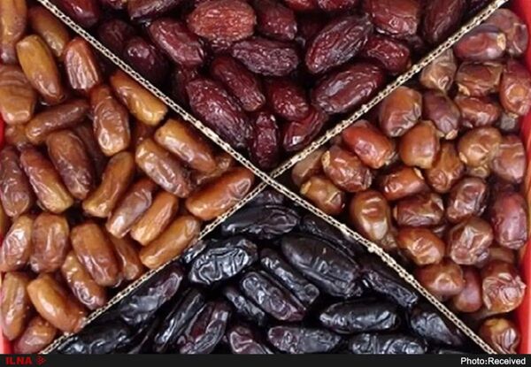 تنوع ژنتیکی خرمای ایران سرمایه صادراتی در بازارهای جهانی است / تولید ۴۰۰ تا ۶۰۰ رقم در کشور