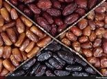 تنوع ژنتیکی خرمای ایران سرمایه صادراتی در بازارهای جهانی است / تولید ۴۰۰ تا ۶۰۰ رقم در کشور
