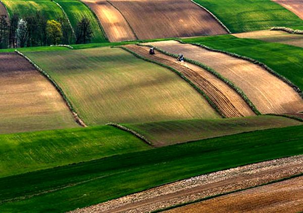 207هزار میلیارد ریال تسهیلات برای بخش‌های آب و کشاورزی و صنایع تبدیلی