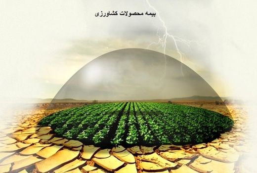 کاهش روند بیمه‌گری محصولات  کشاورزی در آذربایجان‌غربی