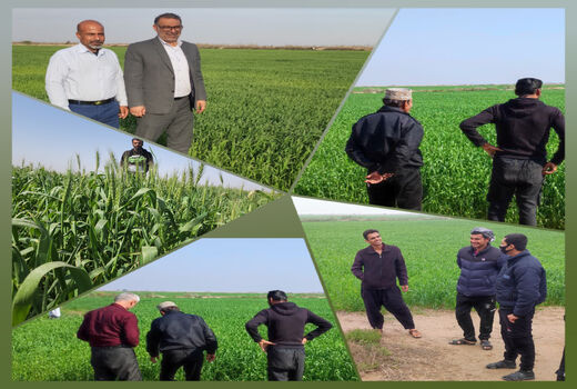 ارتقاء سطح دانش کشاورزی با آموزش های چهره به چهره در آبادان 