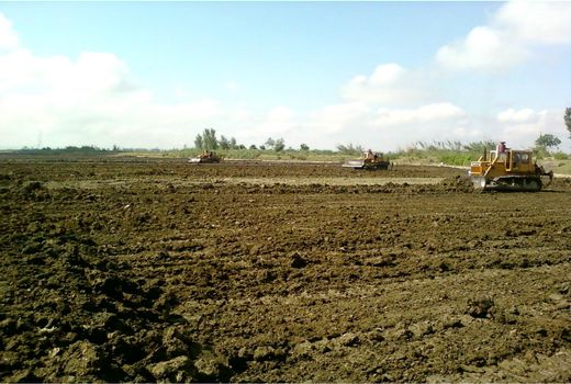 2700 هکتار از شالیزارهای محمودآباد تجهیز و نوسازی شد