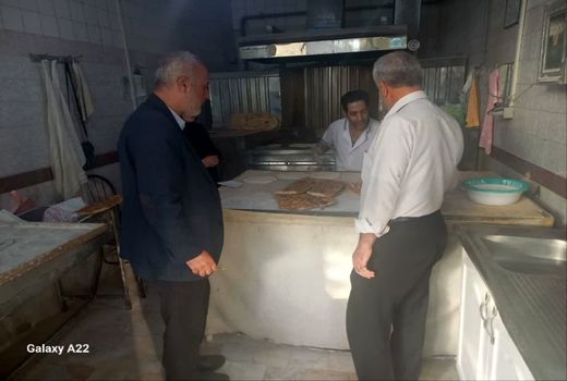 شناسایی ۱۹ واحد صنفی متخلف در قزوین