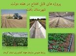 بهره برداری از 10 طرح کشاورزی و دامپروری شهرستان بافت در هفته دولت 