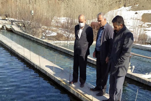 افزایش تولید شیلات در واحد سطح با استفاده از تجهیزات و مکانیزاسیون آبزی پروری