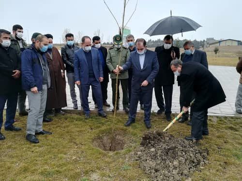 کاشت ۲۲۰ هزار اصله در آذربایجان غربی همزمان با هفته منابع طبیعی