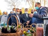 بازدید وزیر جهاد کشاورزی از شرکت کشت و صنعت جوین