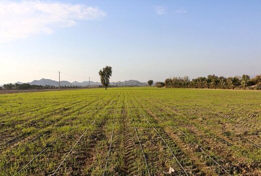 بیش از 10 هزار هکتار از اراضی دیناران شهرستان اردل رفع تداخل خواهد شد