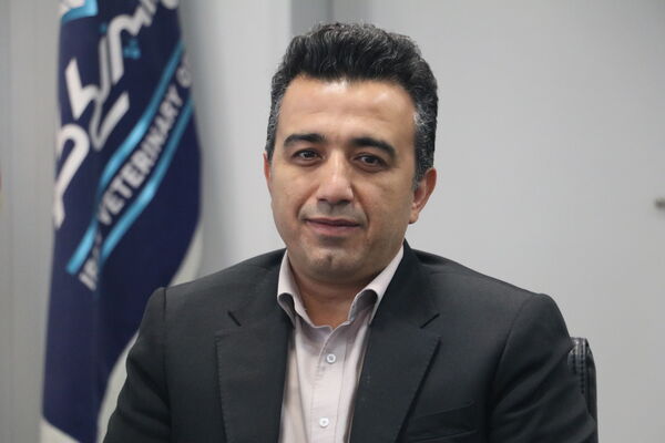 صادرات ۵۷۴ تن محصولات خام دامی قزوین به ۱۰ کشور اروپایی و آسیایی