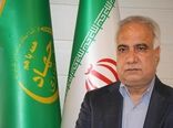 بررسی دلیل تلف شدن شترها توسط دامپزشکی