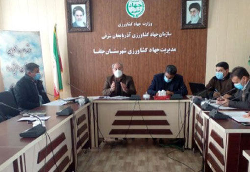 کشت قراردادی گندم مسیری نو برای رونق تولید در استان آذربایجان شرقی 