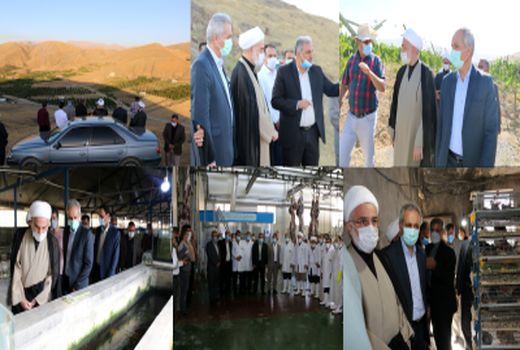 نماینده ولی فقیه در کردستان از پنج طرح کشاورزی بازدید کرد