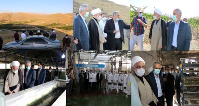 نماینده ولی فقیه در کردستان از پنج طرح کشاورزی بازدید کرد