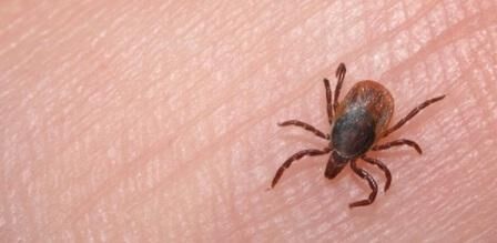28 نفر مبتلا و 3 نفر فوت شده