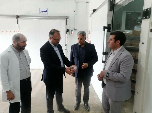 سه طرح صنایع تبدیلی کشاورزی در باروق؛ گامی تازه برای توسعه صنایع تبدیلی و اشتغال