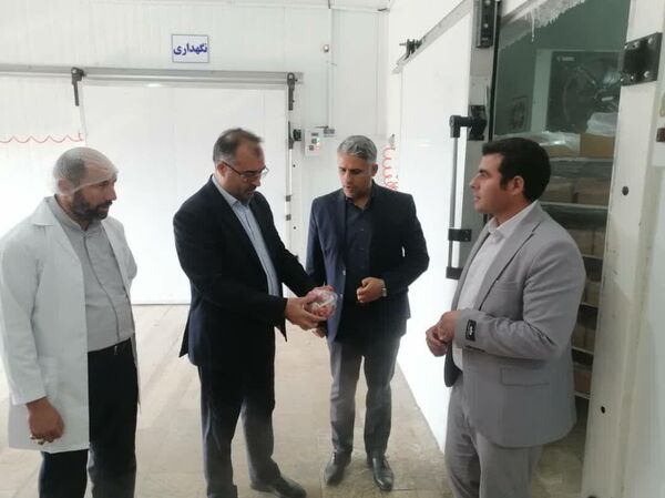 سه طرح صنایع تبدیلی کشاورزی در باروق؛ گامی تازه برای توسعه صنایع تبدیلی و اشتغال