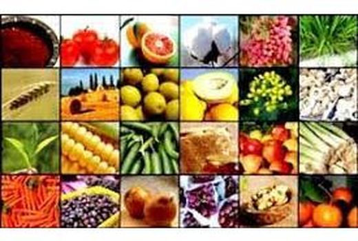 تولید یک میلیون تن محصولات کشاورزی در ساری