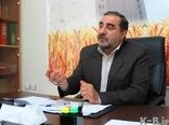کیفیت گندم بهانه غیرقابل قبول پخت بی‌کیفیت نان در کهگیلویه و بویراحمد است