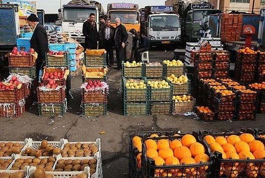 هزینه‌های حمل و نگهداری میوه‌ 4 برابر شد
