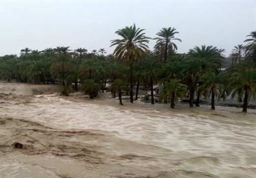 خسارت 17 میلیارد تومانی بارندگی های اخیر به بخش کشاورزی هرمزگان