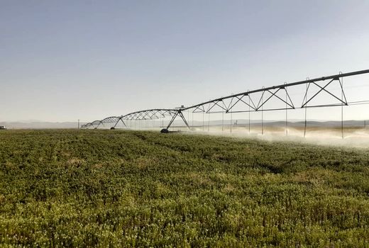 تجهیز حدود ۵۵ درصدی اراضی آبی استان چهارمحال و بختیاری به سامانه های نوین آبیاری 