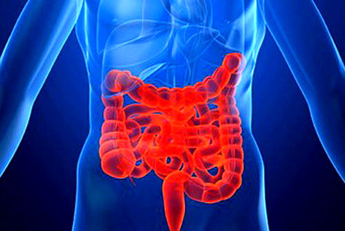 مغز سالم در روده سالم است