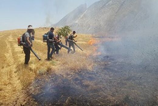 بیش از ۱۰۰ هکتار از پس چرای مزارع کشاورزان روستای شیخ‌مکان طعمه حریق شد